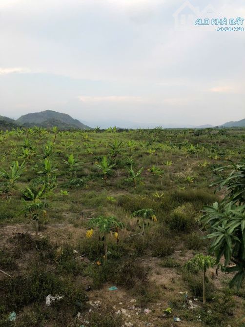 Bán 11 hecta đất RSX tại Ninh Tân - 4