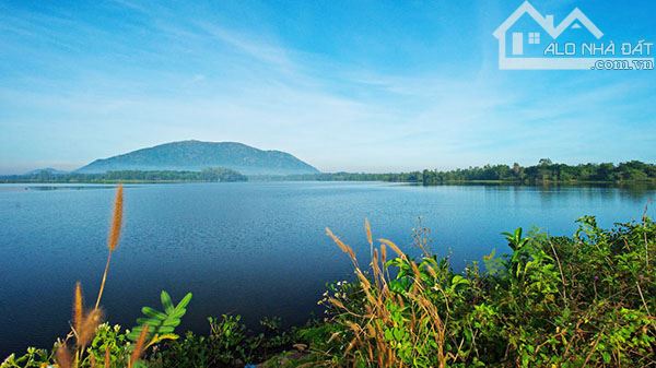 ✓Du Án dành cho nhà đầu tư. G.ía 3xx/sao..đến 6xx/sào Có tách bán lẻ từng sào . Ai mua hết - 1