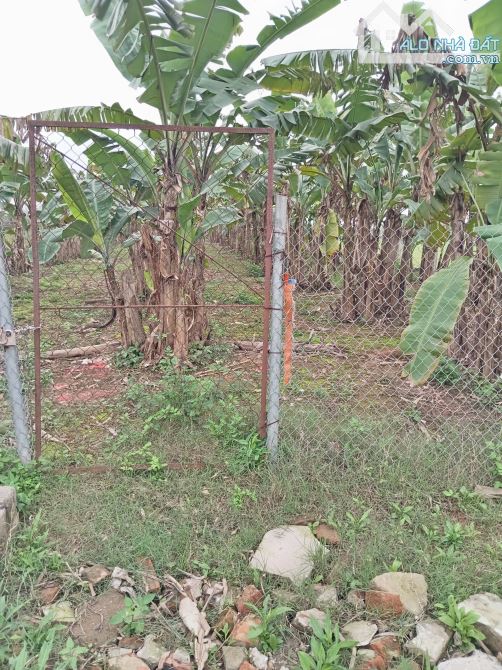 Bán 672m2 đất 50 năm Sài Sơn _ Quốc Oai, liền kề khu quần thể biệt thự nhà vườn - 2