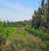 Đất 2.000m2 tại Gò Công Đông, Tiền Giang,  đường nhựa,  qua kênh,  sổ hồng 1,3 tỷ TL