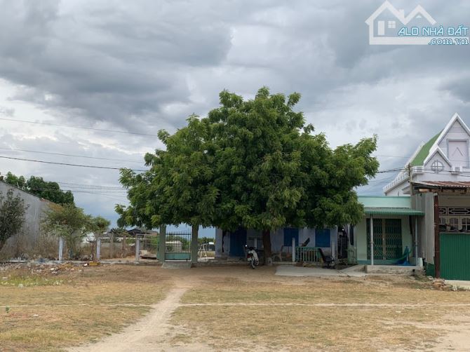 145m Thô Cư Ven Biển Khánh Hội - Xã Ninh Hải