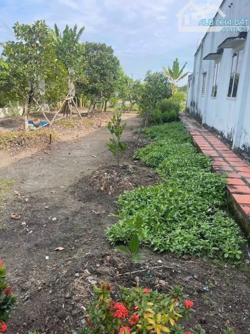 SÁT VINHOMES HÓC MÔN – NHÀ VƯỜN THỔ CƯ – GIÁ HỜI HIẾM CÓ - RẺ HƠN CỦ CHI - 2