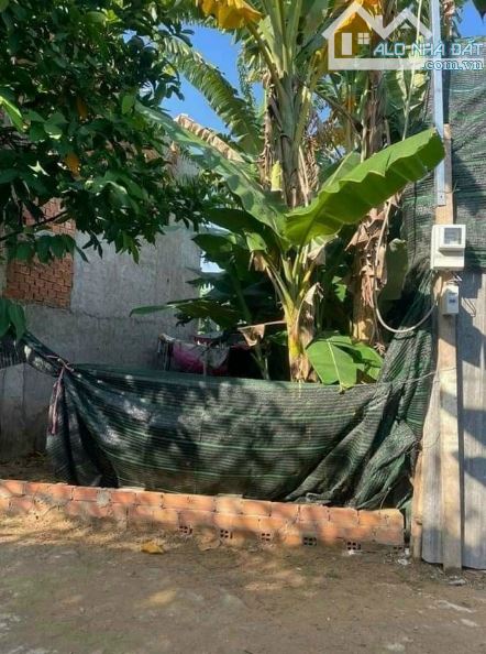 Bán Đất Đường Hồ Văn Long giao Nguyễn Triệu Luật Tân Tạo Bình Tân 3ty1 - 4