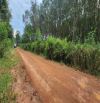 Chủ Gửi Bán 2,1ha đất Chánh Phú Hòa, Bến Cát, Bình Dương.