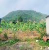 Bán 1.926m2 đất Châu Pha giáp ranh Tân Hưng Bà Rịa - Giá bán: 4,5 tỷ
