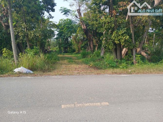 🔥 SIÊU PHẨM QUỸ ĐẤT 3.252M² – NGANG 82M – GIÁ TỐT  TRONG KHU VỰC - 1