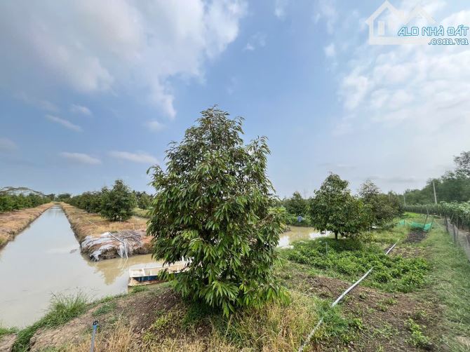 BÁN 24 CÔNG ĐẤT TRỒNG SẦU RIÊNG - THUỘC ĐỊNH MÔN, THỚI LAI, CẦN THƠ
