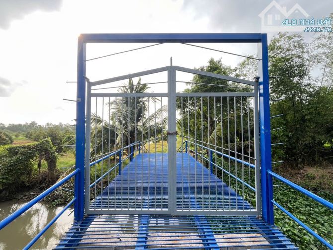 BÁN 24 CÔNG ĐẤT TRỒNG SẦU RIÊNG - THUỘC ĐỊNH MÔN, THỚI LAI, CẦN THƠ - 1