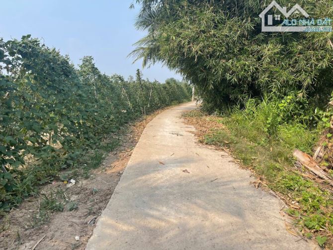 BÁN 24 CÔNG ĐẤT TRỒNG SẦU RIÊNG - THUỘC ĐỊNH MÔN, THỚI LAI, CẦN THƠ - 3