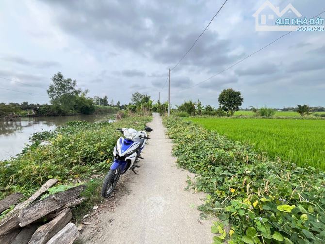 BÁN 24 CÔNG ĐẤT TRỒNG SẦU RIÊNG - THUỘC ĐỊNH MÔN, THỚI LAI, CẦN THƠ - 5