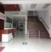cho thuê nhà xưởng quận 7 kcx tân thuận (3.125m2 giá 318 tr )