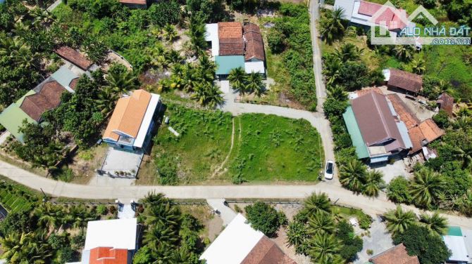 CHÍNH CHỦ GỬI BÁN 5 LÔ ĐẤT ĐẸP NHẤT NINH LỘC, NINH HÒA🏡 - 3