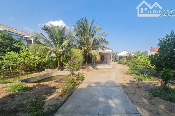 ĐẤT MẶT TIỀN ĐƯỜNG THANH NIÊN 3.335m² PHẠM VĂN HAI BÌNH CHÁNH CHỈ 43 TỶ - 1