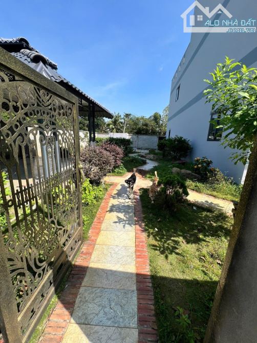 2,5Tỷ TL🔥Bán đất 100m2 TĐC An Sơn ngay bên Sông Sài Gòn_Xây Tự Do, P.An Sơn, Tp.Thuận An - 2