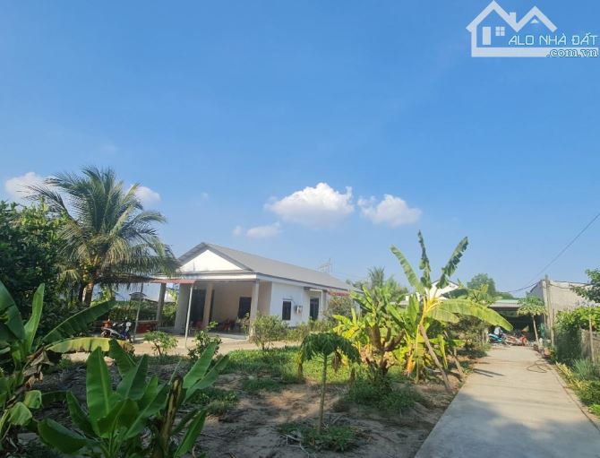 ĐẤT MẶT TIỀN ĐƯỜNG THANH NIÊN 3.335m² PHẠM VĂN HAI BÌNH CHÁNH CHỈ 43 TỶ - 2