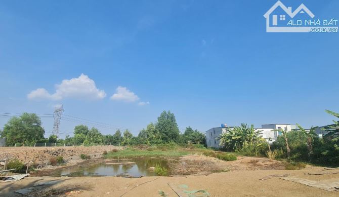 ĐẤT MẶT TIỀN ĐƯỜNG THANH NIÊN 3.335m² PHẠM VĂN HAI BÌNH CHÁNH CHỈ 43 TỶ - 3