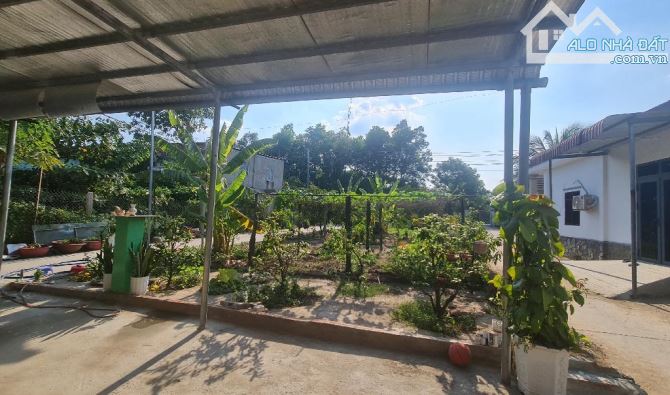 ĐẤT MẶT TIỀN ĐƯỜNG THANH NIÊN 3.335m² PHẠM VĂN HAI BÌNH CHÁNH CHỈ 43 TỶ - 4