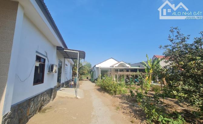 ĐẤT MẶT TIỀN ĐƯỜNG THANH NIÊN 3.335m² PHẠM VĂN HAI BÌNH CHÁNH CHỈ 43 TỶ - 6