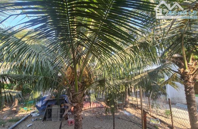 ĐẤT MẶT TIỀN ĐƯỜNG THANH NIÊN 3.335m² PHẠM VĂN HAI BÌNH CHÁNH CHỈ 43 TỶ - 7