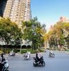 Mặt tiền Kinh Doanh siêu lợi nhuận Hương Lộ 3 giáp Tân Phú 276m2 ngang 9cực đẹp -40 tỷ