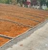 Bán lô đất 136 M2 mặt tiền 5 M sát Khu Công Nghiệp Thạch Quảng quy mô 148 Ha giá chỉ 260tr