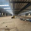 CHO THUÊ KHO XƯỞNG 6.500m² – CCN QUANG TRUNG, TP.HCM