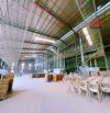 X016 Bán nhà xưởng 9700m2 đất đã đóng thuế lên SKC. gần KCN Sông Mây ngã 3 Trị An, Trảng B