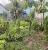 BÁN ĐẤT THỔ CƯ GIÁ RẺ PHƯỜNG GHỀNH RÁNG-QUY NHƠN
