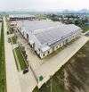 Cho thuê kho xưởng tại Khu Công nghiệp WHA Zone 1 Nghệ An, S 8000m2, chỉ từ 260tr
