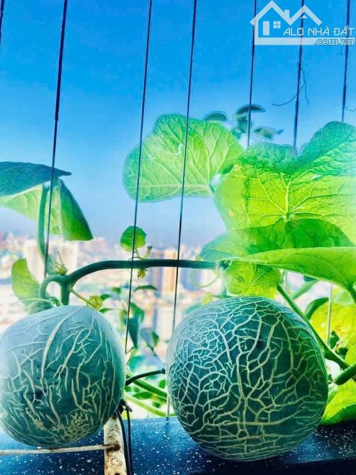 Bán chung cư Smile số 1 Nguyễn Cảnh Dị, Hoàng Mai, 93m 3 ngủ 2 vệ sinh căn góc giá 8.5 tỷ(