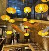SIÊU HIẾM!! 145M2 - 12M MẶT TIỀN - NHÀ HÀNG 5 SAO MẶT PHỐ VIP ĐÀO TẤN - Ô TÔ TRÁNH - 70 TỶ