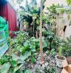 BÁN ĐẤT TUYẾN 2 NGUYỄN TRUNG THÀNH – HÙNG VƯƠNG – HỒNG BÀNG, HẢI PHÒNG 2,5 TỶ