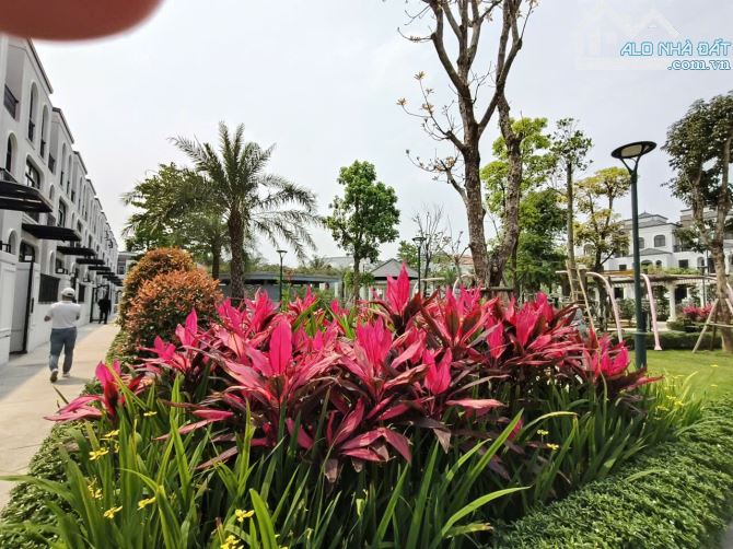 CẬP NHẬT QUỸ BIỆT THỰ ĐANG BÁN – KITA CIPUTRA – TÂY HỒ – HÀ NỘI