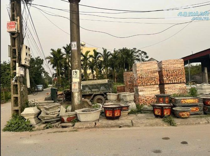 Bán mảnh đất 200m2, xóm 4-Trực Thái-Trực Ninh-Nam Định (xã Minh Thái-Ninh Bình) - 2