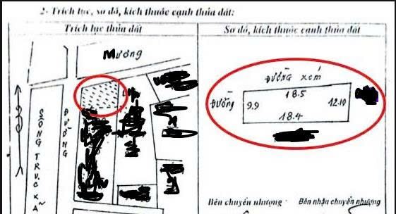 Bán mảnh đất 200m2, xóm 4-Trực Thái-Trực Ninh-Nam Định (xã Minh Thái-Ninh Bình) - 3