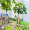 Cơ hội đầu tư đất Đống Hương 1 – Quán Toan – 55,7m² giá 1,93 tỷ