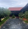 🏡 BÁN NHÀ RƯỜNG mặt tiền TRẦN THÁI TÔNG – ĐỒNG KHỞI, Huế giá rẻ  📐 134m² (ngang 6,5m)