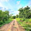 chính chủ bán gấp.đất 1000m giá rẻ. 170 triệu.Bình phước đồng nai. vừa ở vừa kinh doanh