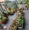 NHÀ MẶT PHỐ LÔ GÓC TRUNG TÂM HẢI CHÂU-LƯƠNG NGỌC QUYẾN-SẴN DÒNG TIỀN-KHAI THÁC ĐA DẠNG