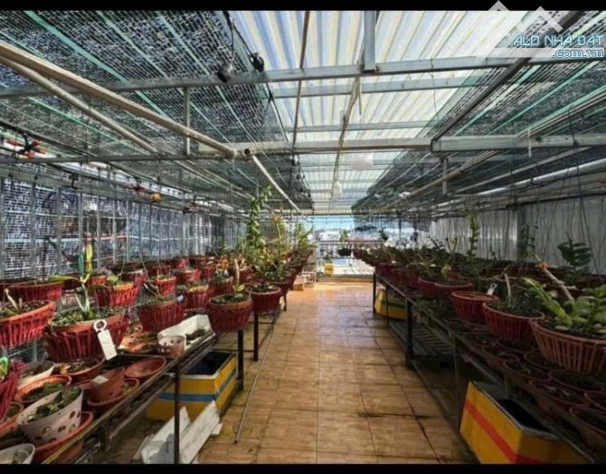 NHÀ PHỐ HẺM Ô TÔ NÉ NHAU ĐƯỜNG PHAN ĐÌNH PHÙNG 64M2 NGANG 4,76M 4 TẦNG 6P 6WC GIÁ 6.8 TỶ - 5
