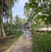 🌴NHÀ VÀ ĐẤT SƠN PHÚ GIỒNG TRÔM BT 777m2🌴