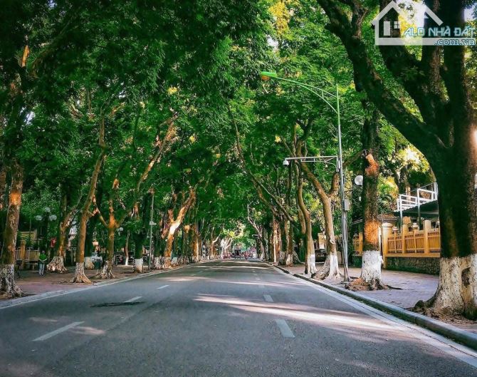 BÁN GẤP NHÀ 40M,5 TẦNG THANG MÁY PHAN ĐÌNH NHỈNH 9 TỶ