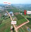 ✨ 4 LÔ ĐẤT VƯỜN HƠN 1.000M2 – Mặt Tiền dài miên man – Vị trí Đẹp, tiện ích – chỉ từ 819TR