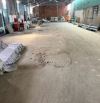 *Cho thuê kho xưởng*660m2 đường Tam Đa, Phường Long Trường, Quận 9