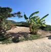 Bán Đất Nền Hẻm Bình Hoà Phước Đồng Nha Trang Đường rộng