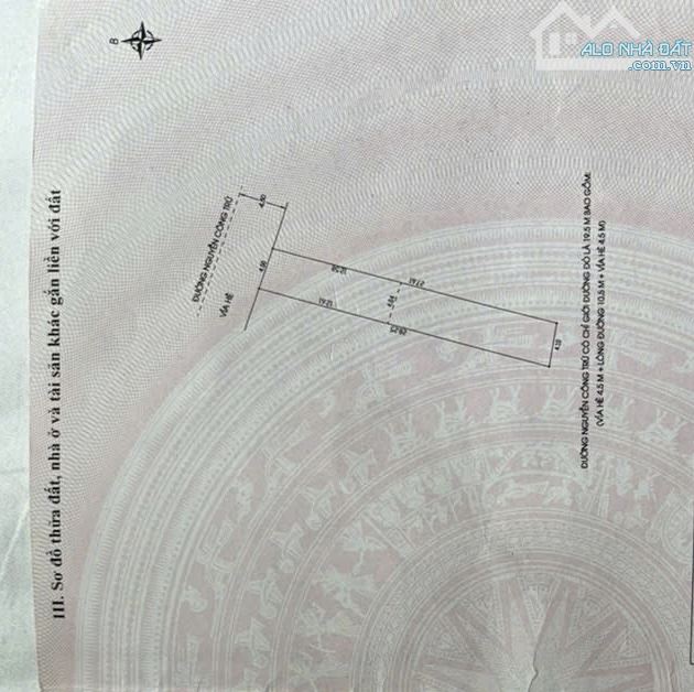 🏙️ BÁN ĐẤT MẶT TIỀN NGUYỄN CÔNG TRỨ – KHU PHỐ HÀN 🏙️ - 1