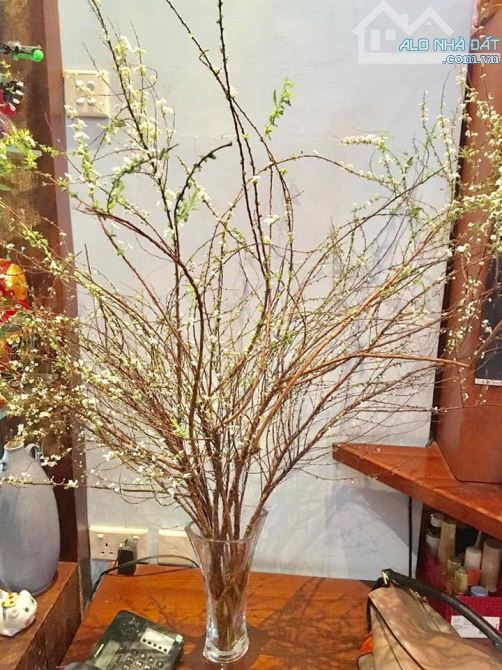 Giảm chào! Bán nhà Phố Huế, 50m2, 4 tầng, mặt tiền 4m, 18.5 tỷ, kinh doanh đỉnh