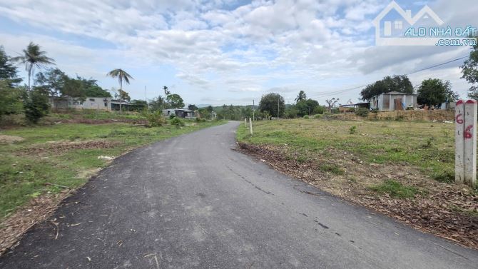 💥Còn 3 lô Full Thổ cư Khánh Nam, Khánh Vĩnh - Mặt tiền đường nhựa mới làm cực đẹp💥 - 2