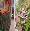 ✨🏡 BÁN VILLA CẤP 4 SÂN VƯỜN RỘNG 260m² – HẺM XE HƠI ĐỒI THÔNG TIN, P.08, ĐÀ LẠT