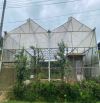✨🏡✨ ĐẤT MĂNG LIN HẺM XE HƠI 531M2 CHỈ 7 TỶ